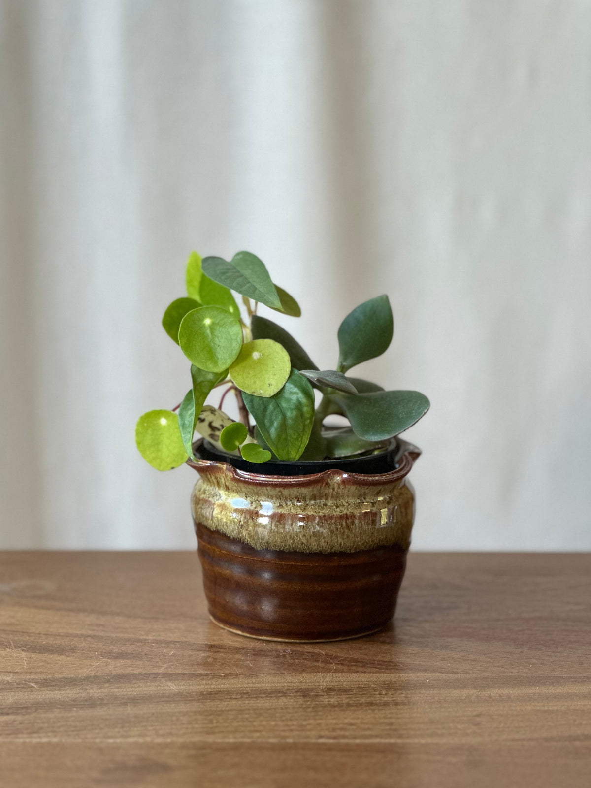 Planter Cache Pot - 4”