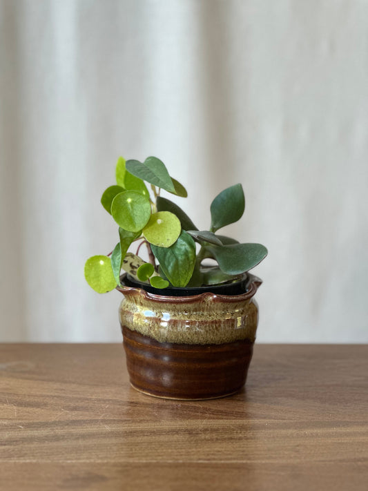 Planter Cache Pot - 4”