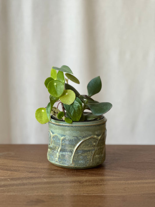 Planter Cache Pot - 4”