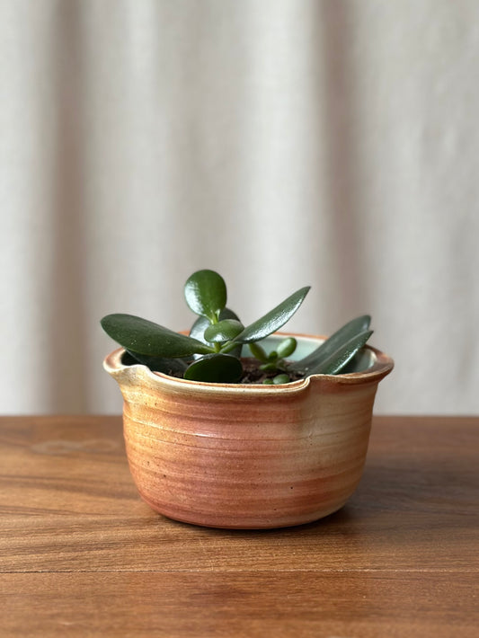 Wood Fired Planter