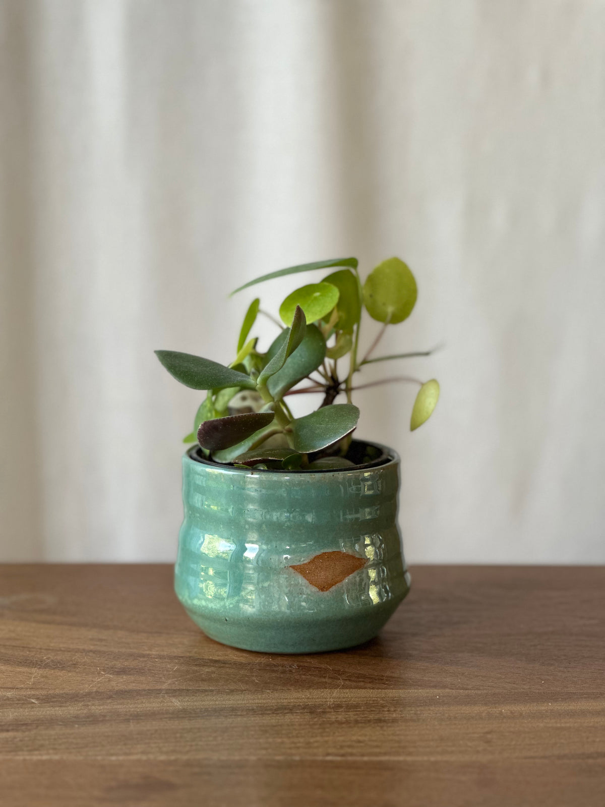 Planter Cache Pot - 4”