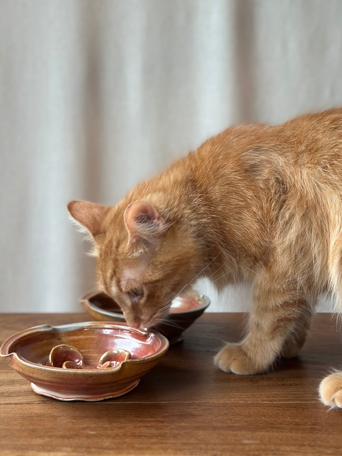Wood Fired Pet Bowls (Slow Feed)