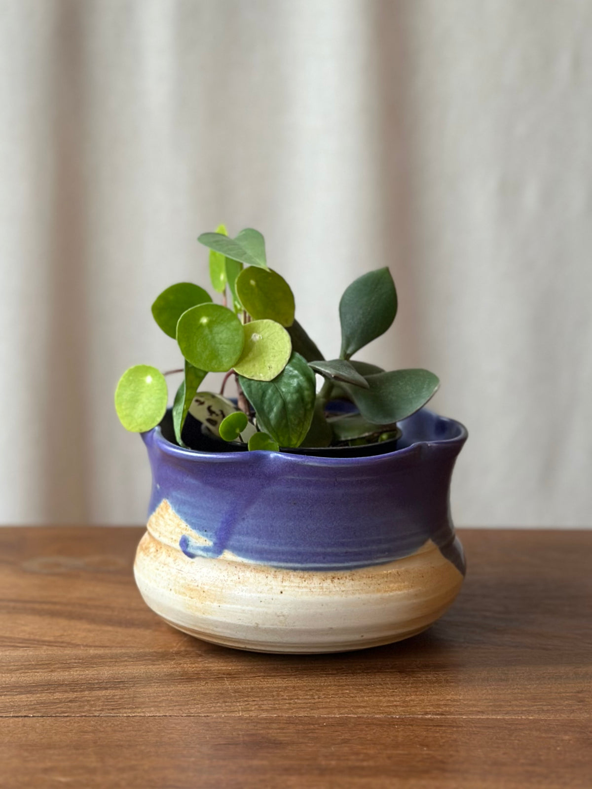 Wood Fired Planter