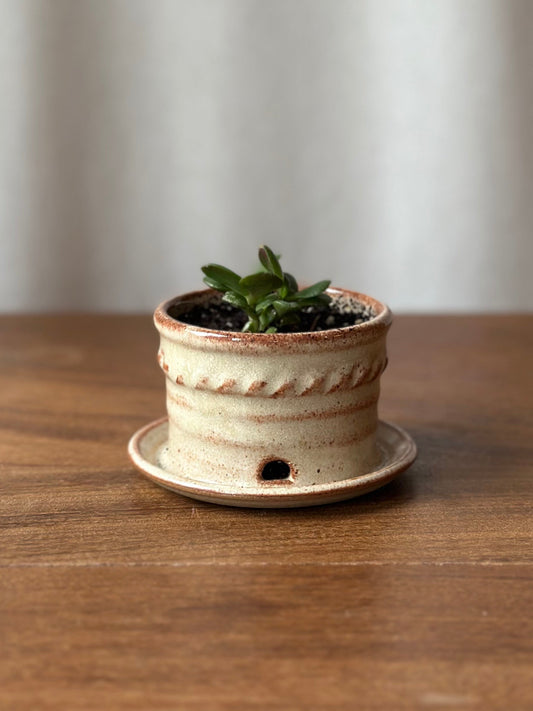 Propagation Pot with Jade